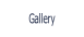 Gallery.